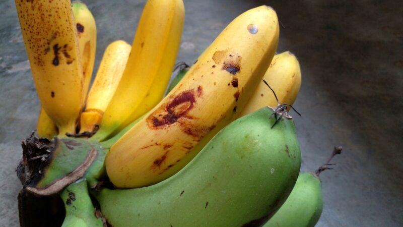 on a grey concrete surface is bunch of yellow and green bananas