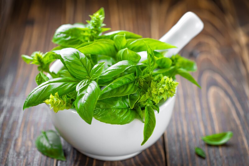 on a wooden surface is a white mortar and pestle full of fresh basil leaves