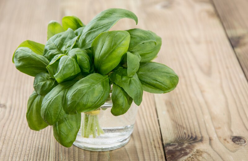 on a wooden surface is a glass with water full of fresh basil 