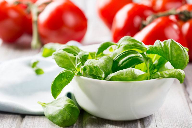 sprigs of basil on a white bowl with a bunch of tomatoes at the background.