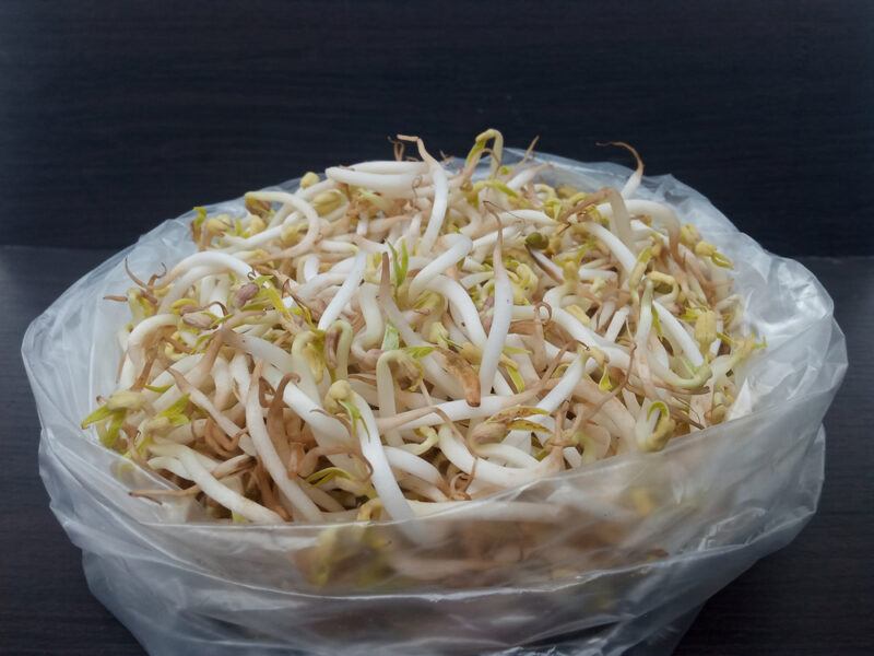 an opened plastic bag with bean sprouts against a black background