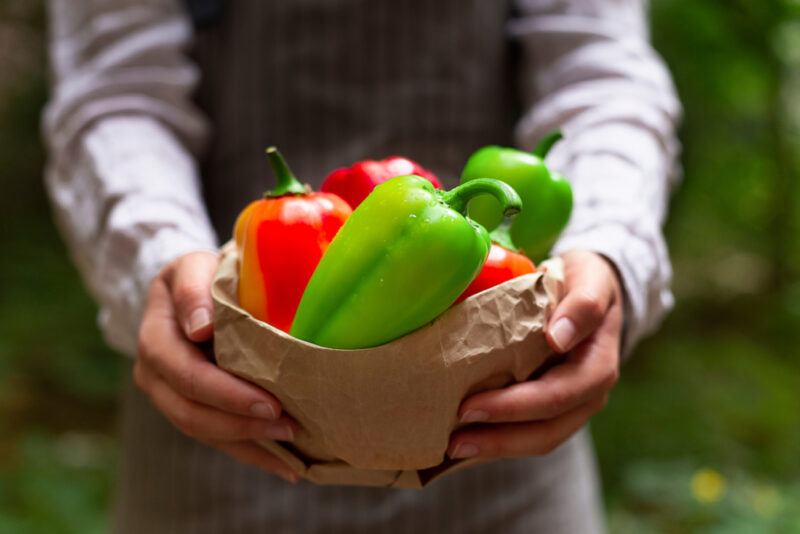 partial image of a farmer holding a paper bag full of red and green bell peppers