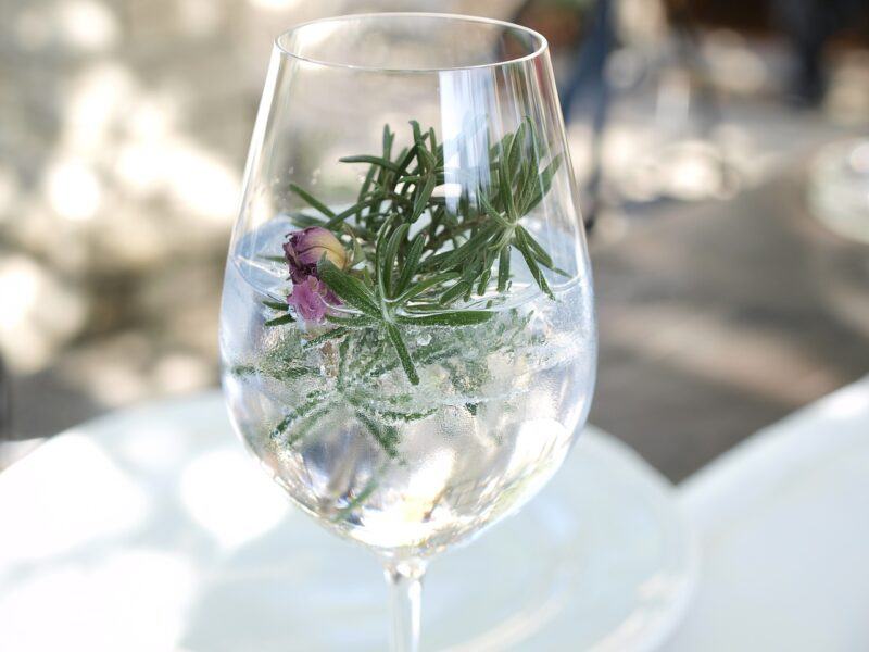 a glass with clear gin and whole herbs to represent the best american gin