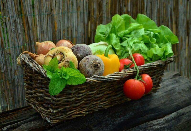 best-organic-protein-powder- | Food For Net a basket of fresh vegetables and greens to represent the best organic protein powder