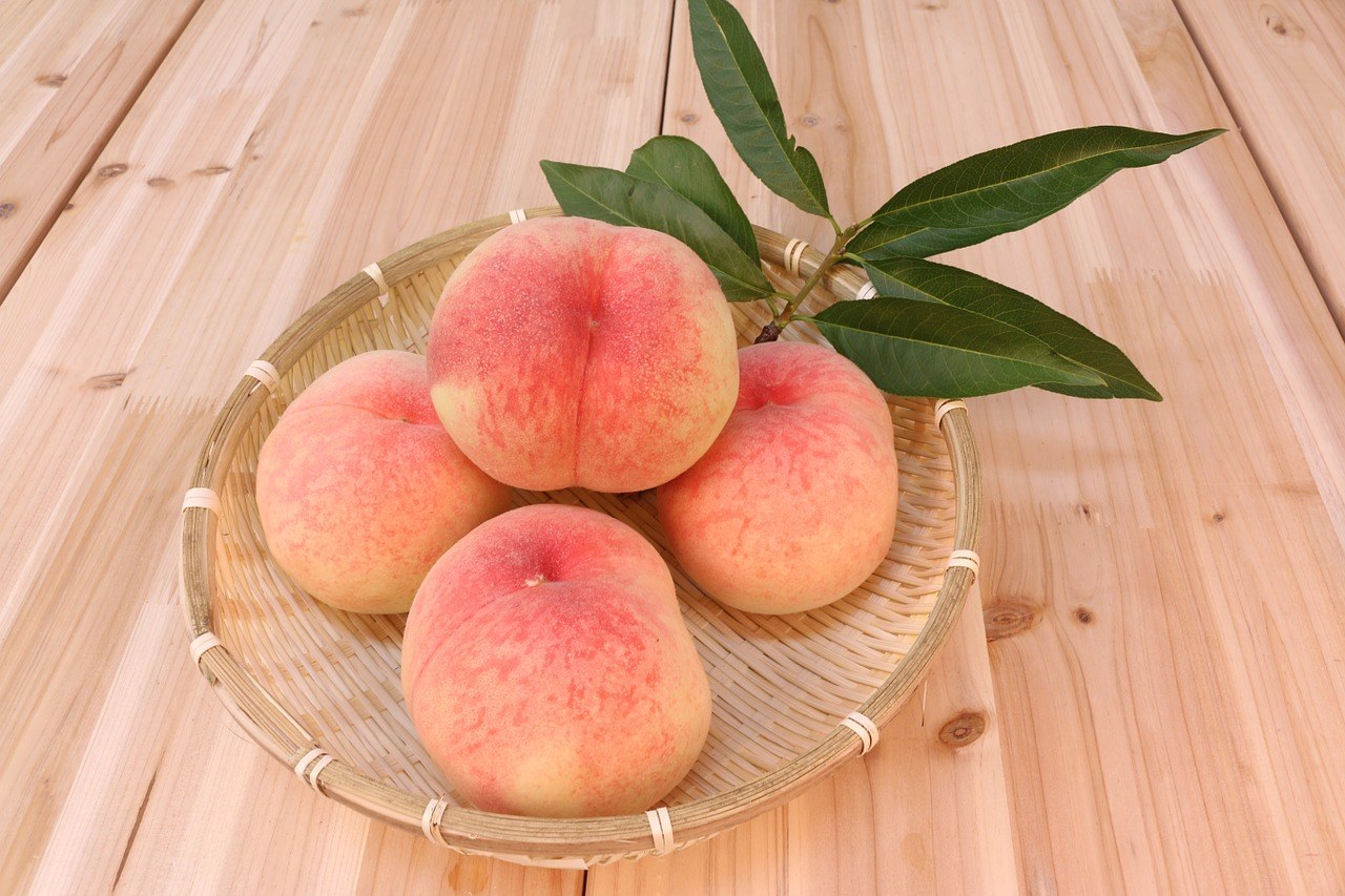 The Best Peach Brandy Food For Net