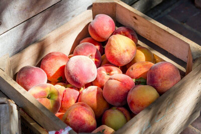 a crate of bright, ripe peaches to represent the best peach liqueur