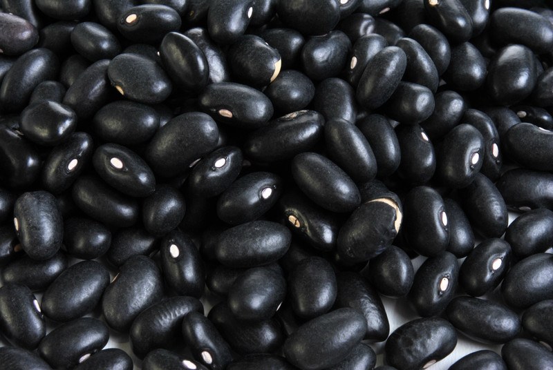 This photo shows a closeup of dry black beans.