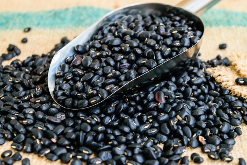 a small mound of black turtle beans or black beans with a metal scoop shoved in it also full of black turtle beans