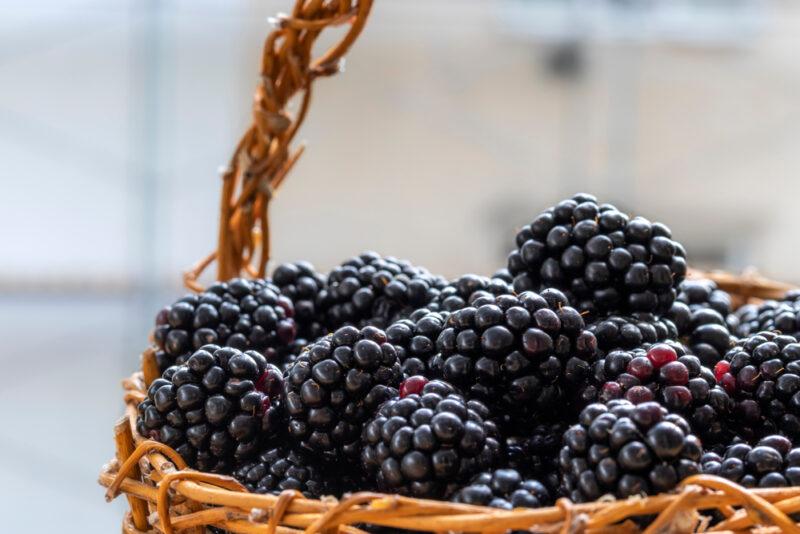 a closeup image of a weaved basket with handle full of blackberries