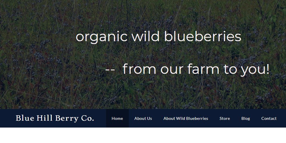 Buy Fresh Blueberries Online From These 7 sites Food For Net