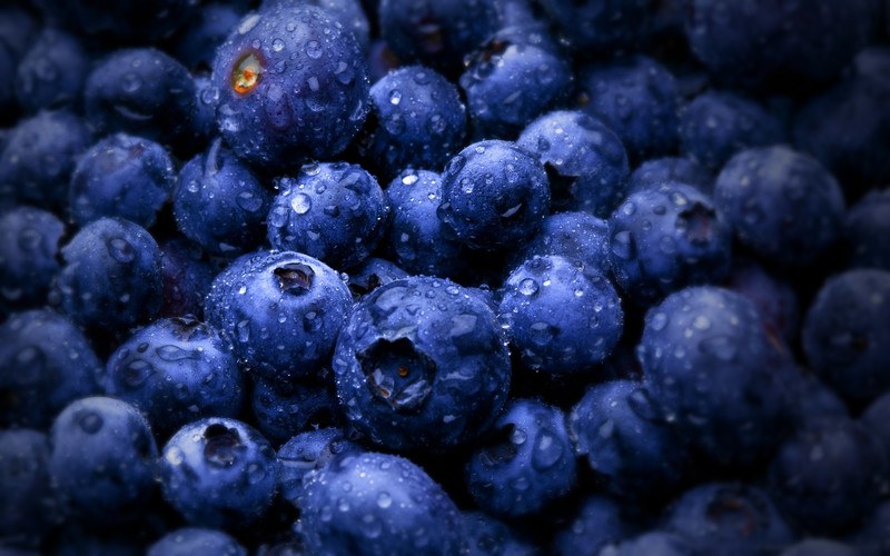 This photo shows a closeup view of blueberries with droplets of water on them.