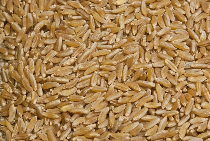 brown rice (2) | Food For Net This photo shows an overhead view of several grains of brown rice.