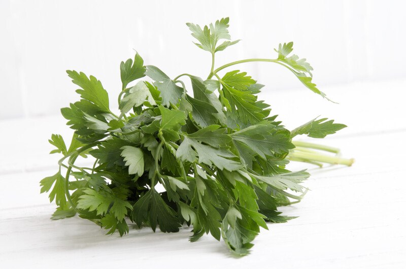 on a white surface is a closeup image of a bunch of chervil