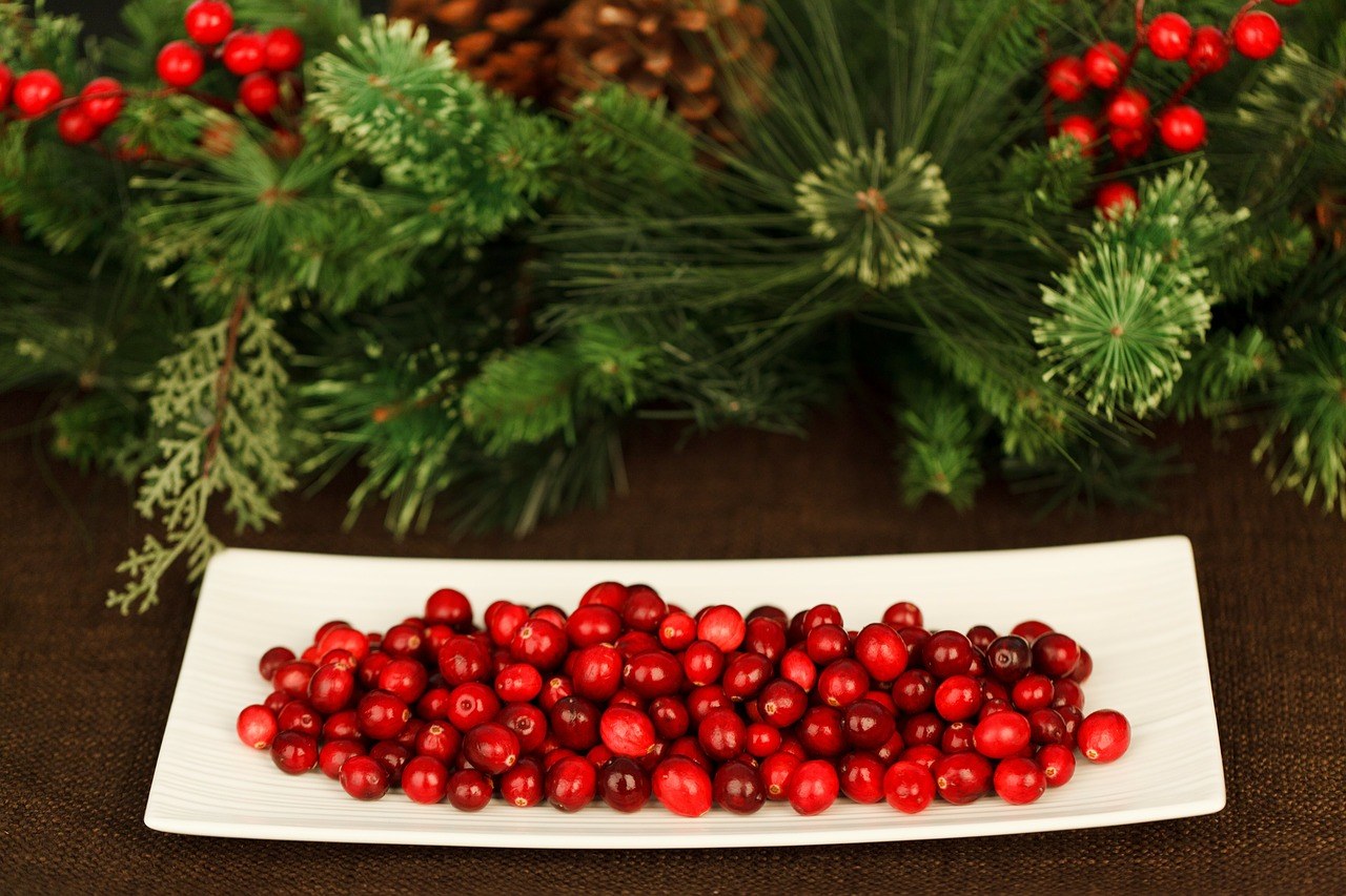 Buy Fresh Cranberries Online From These 4 Websites Food For Net