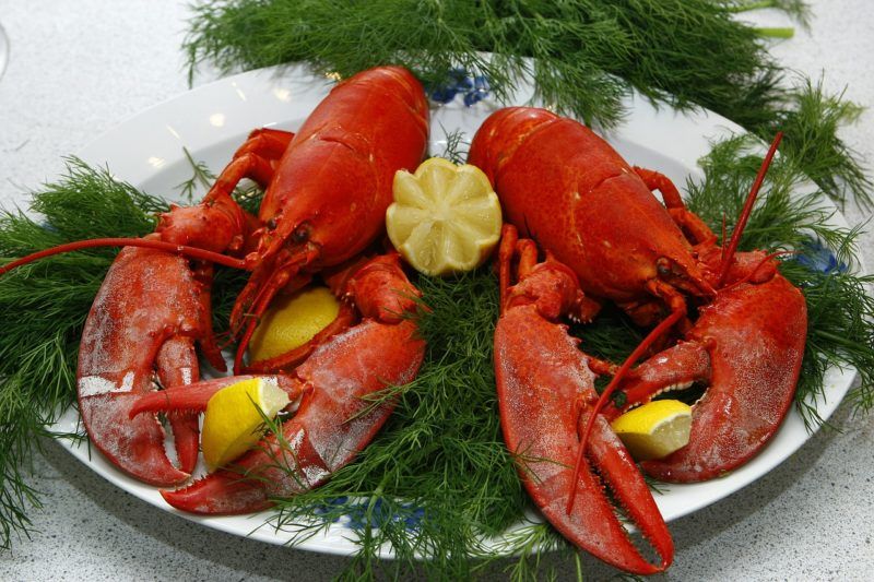 a fancy lobster dinner to represent where to buy fresh maine lobster online