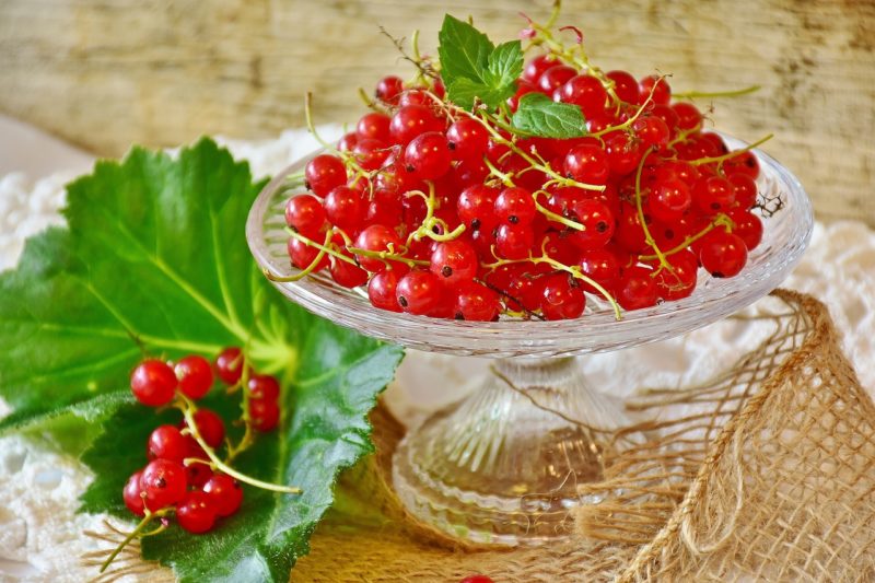 a glass bowl with red currants in it to represent where to buy fresh red currants online 