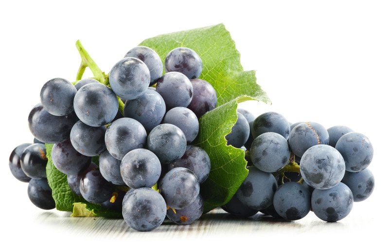 Grapes on a white background