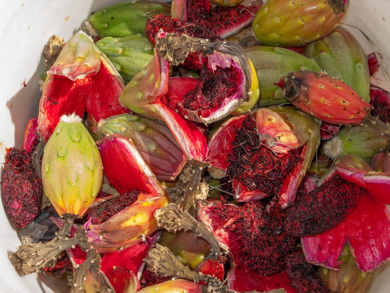 Fruit from a cactus called saguaro, where the pink and black insides can be clearly seen