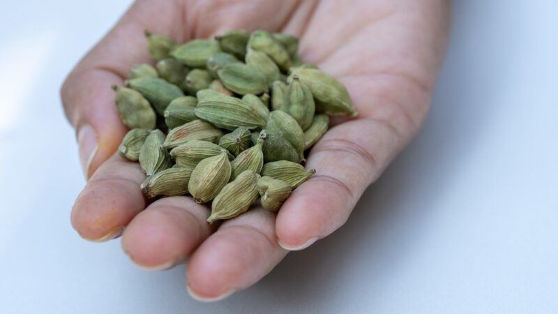 a hand held out with cardamoms against a white surface