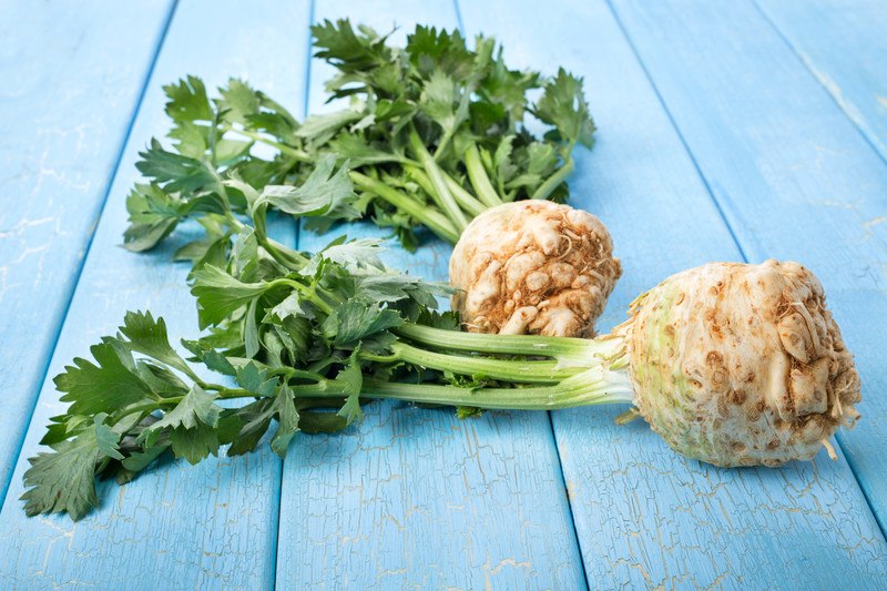 a couple of celeriac with leaves still attached laid out on a blue wooden surface