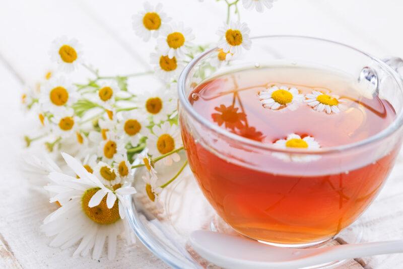 a closeup image of a glass cup and saucer of  chamomile tea with a couple of chamomile flowers in it, and a bunch of chamomile flowers beside it