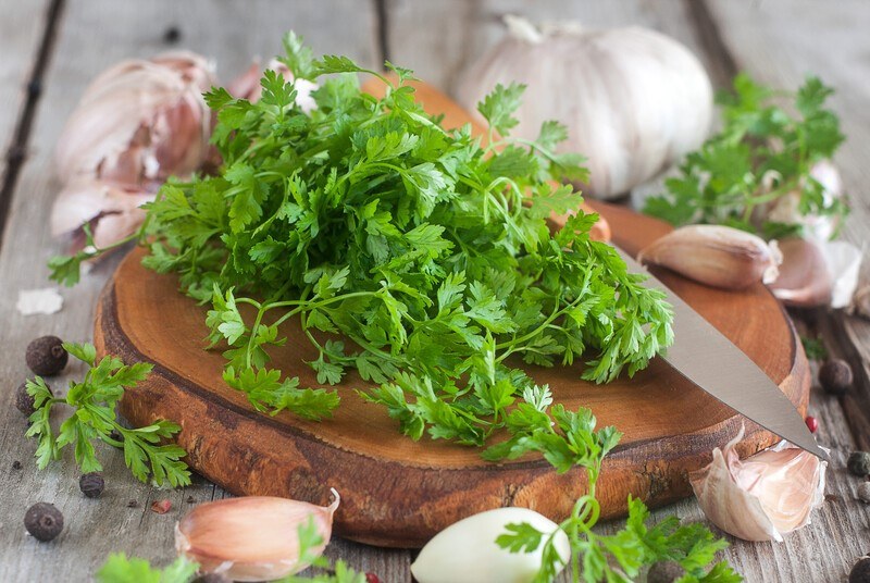 on a wooden surface is a round wooden chopping board full of chervil with a knife and loose garlic cloves and peppercorns on and around the chopping board