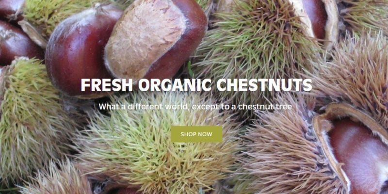 chestnut charlie home page