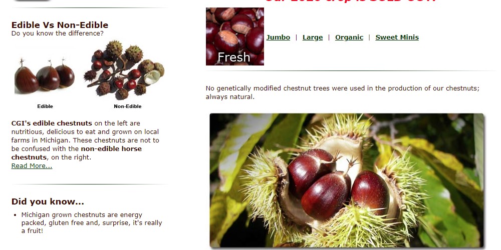 Buy Fresh Chestnuts Online From These 7 sites Food For Net