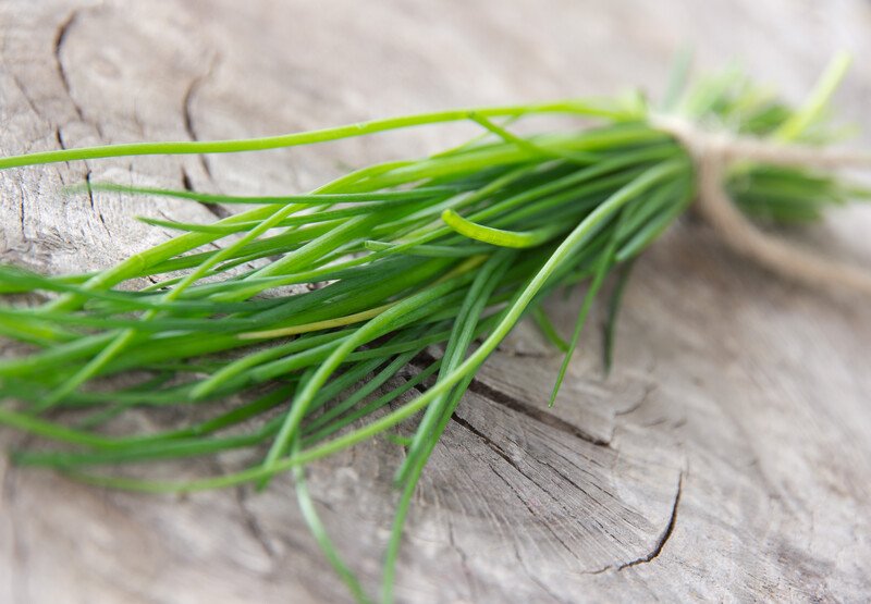 on an aged wooden surface is a bunch of chives tied with a brown twine