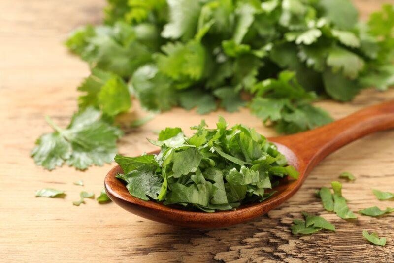 on a wooden surface is a wooden spoon with chopped cilantro, with loose cilantro beside it and a bunch of fresh cilantro at the back