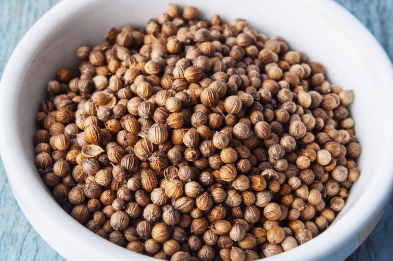 closeup image of a white bowl full of coriander seeds