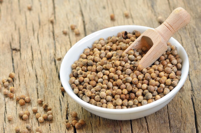 on a rustic wooden surface is a white bowl full of coriander seeds with a wooden scoop in it, loose coriander seeds can be seen around it