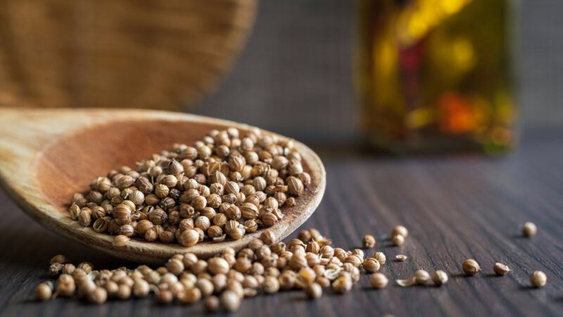 on a wooden surface is a wooden spoon with coriander seeds, beside it are loose coriander seeds with a bottle of oil at the back