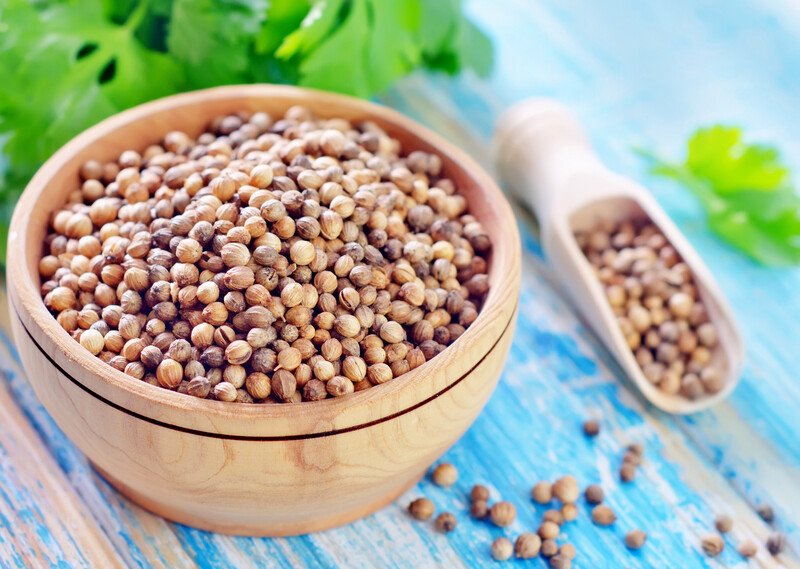 on a rustic looking blue wooden surface is a wooden bowl and wooden scoop full of coriander seeds with fresh coriander leaves at the back