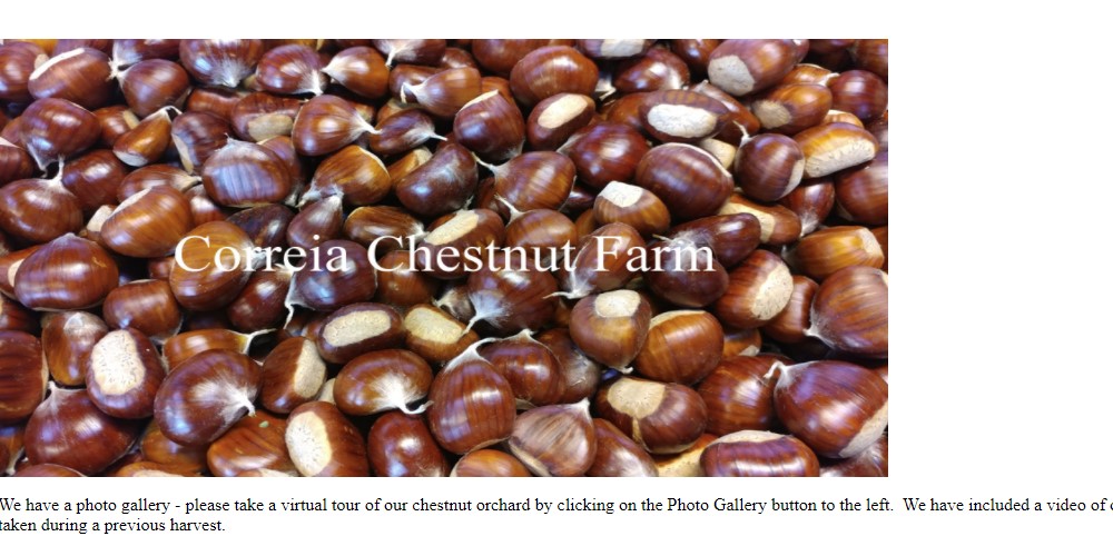 Buy Fresh Chestnuts Online From These 7 sites Food For Net