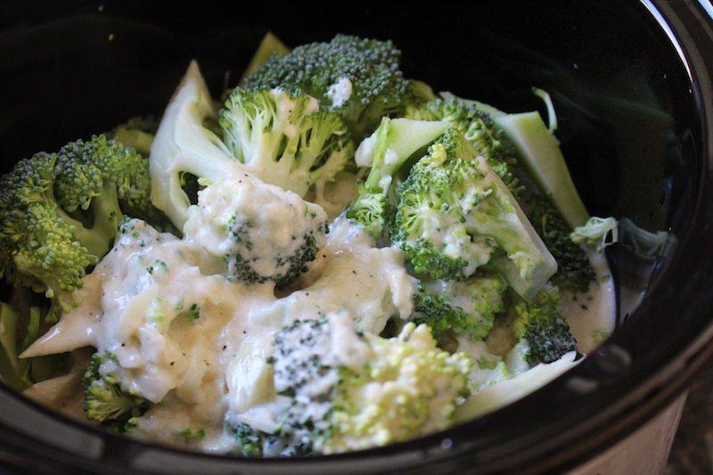 creamy parmesan broccoli chicken brentwood 2 | Food For Net