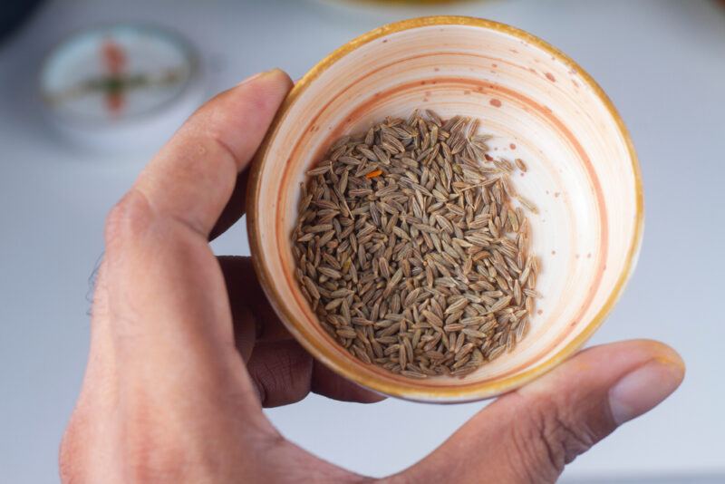 a closeup image of a hand holding a small ceramic white bowl with mustard yellow rim with cumin seeds