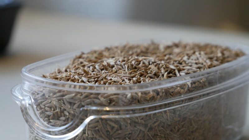 closeup image of a clear container full of cumin seeds