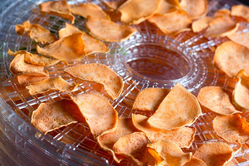 closeup image of dehydrated sweet potatoes still laid out on a dehydrating tray