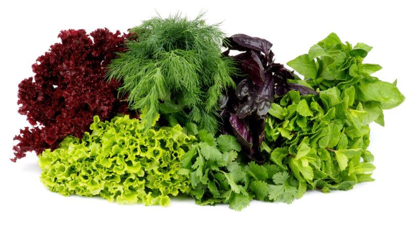 varieties of greens and leafy vegetables like parsley, dill, and lettuce ona white background