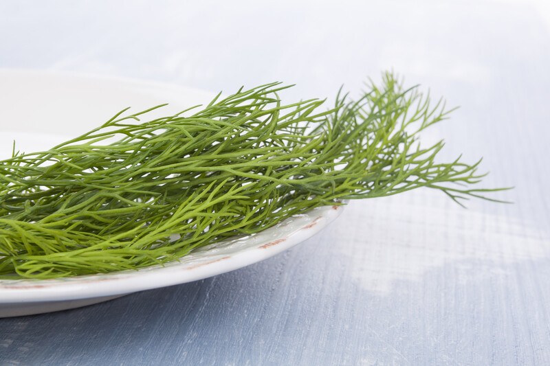 closeup image of fresh dill on a white ceramic plate