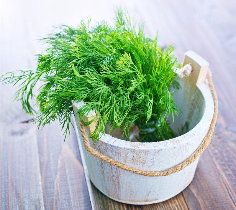 a brown wooden surface with a small white wooden bucket with jute rope for handle with fresh dill in it