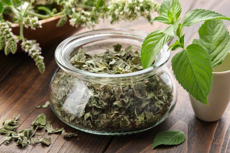 on a wooden surface is a clear glass stout jar of dried spearmint, beside it is fresh spearmint in a cream colored cup, with more fresh green herbs at the back