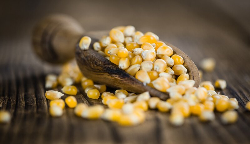 on a dark wooden surface is a closeup image of a wooden scoop full of raw corn kernels with loose corn kernel around it