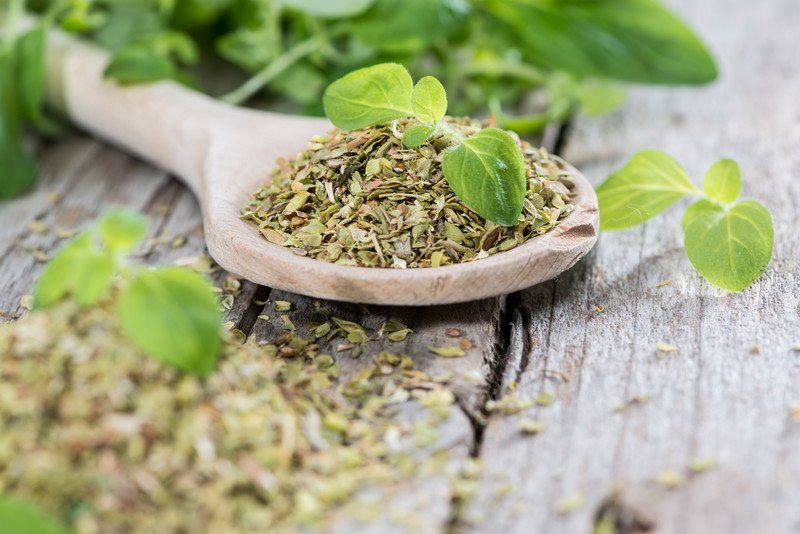 a wooden ladle full of dried oregano with loose dried oregano, and fresh oregano leaves around it, with fresh oregano leaves at the back, resting on an aged wooden surface