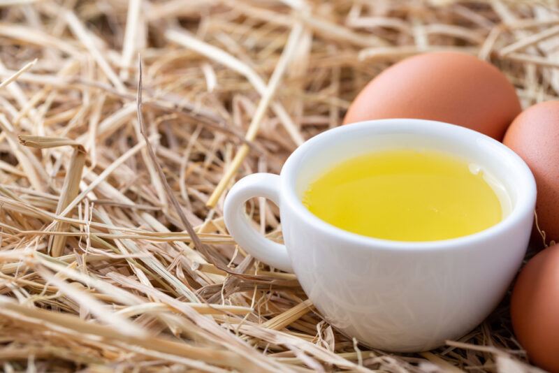 on a dry hay is a white cup of egg whites and three whole brown eggs beside it