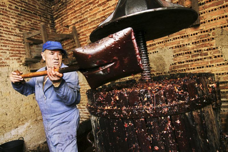 farmer making wine by hand in macerator