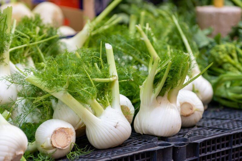 on a black plastic crate is a pile of fennel