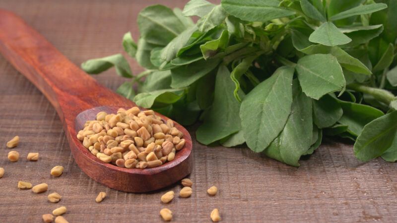 on a brown table cloth is a wooden spoon with fenugreek seeds with loose fenugreek seeds around it, at the back is a bunch of fenugreek leaves