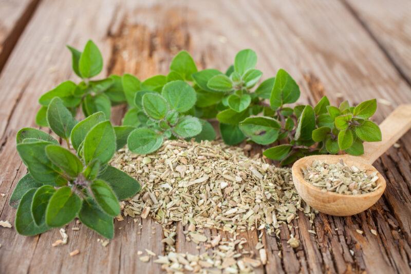 on a rustic wooden surface are fresh oregano leaves, dried oregano leaves, and a wooden ladle full of dried oregano